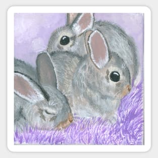 Baby Cottontail Rabbits Sticker